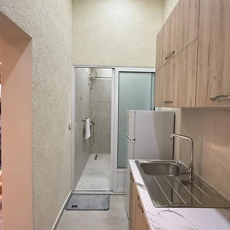 公寓 Center Duplex *