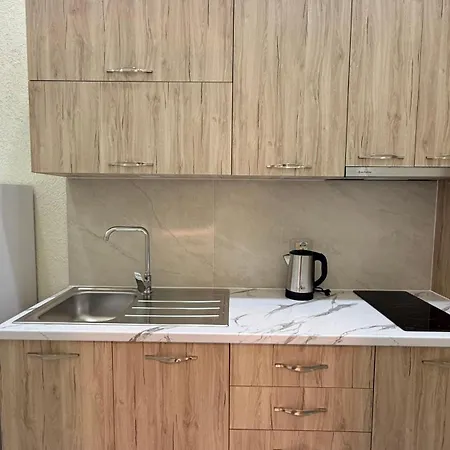 公寓 Center Duplex